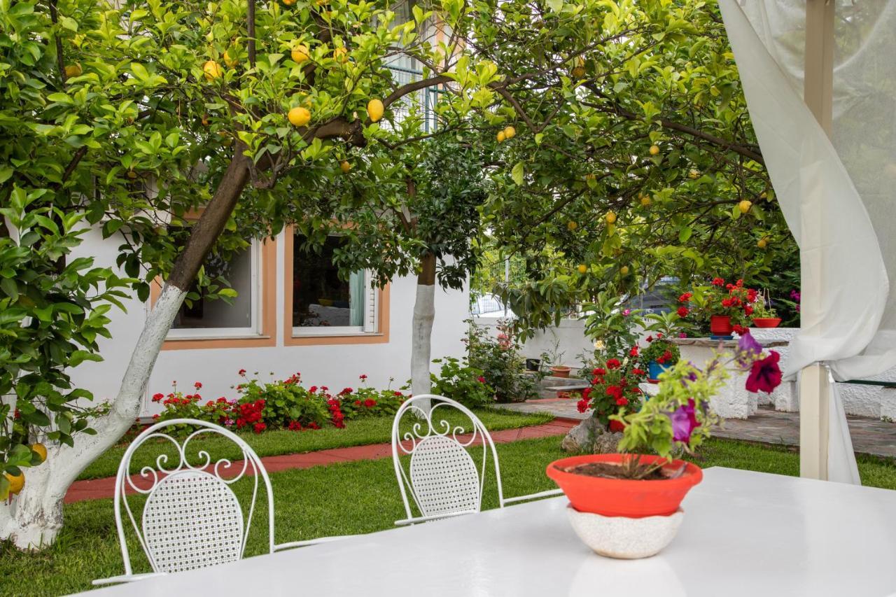 M K Apartments Αρκίτσα Εξωτερικό φωτογραφία