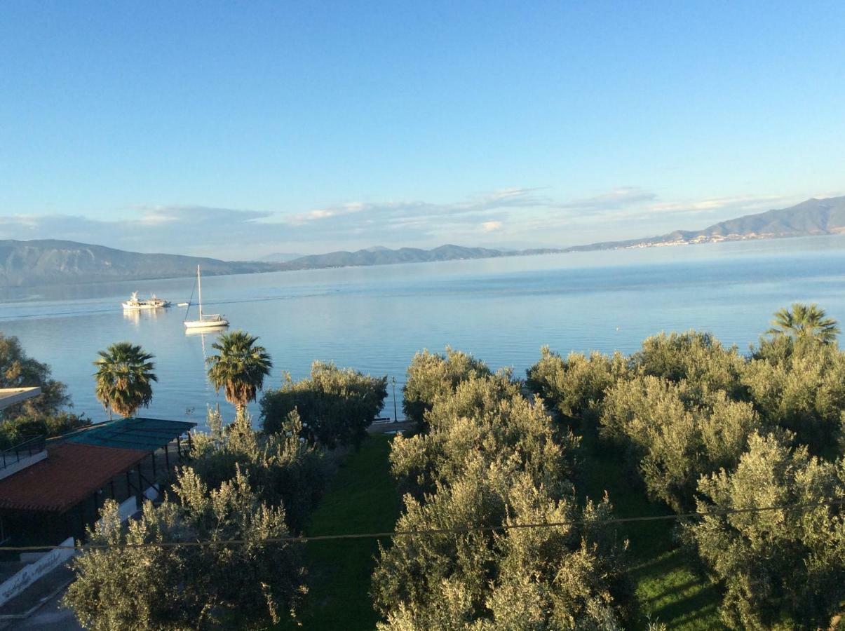 M K Apartments Αρκίτσα Εξωτερικό φωτογραφία